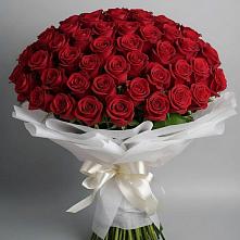 Букет 101 Красная роза Блэк Мэджик в Поселок кирпичного завода