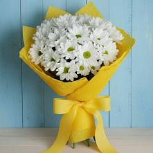Букет цветов из:  Хризантемы в Поселок кирпичного завода