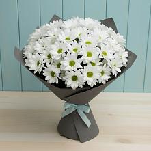 Букет цветов из:  Хризантемы в Поселок кирпичного завода