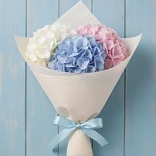 Букет цветов из:  Гортензия в Поселок кирпичного завода