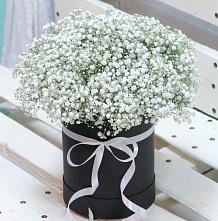 Цветочная композиция из Гипсофила в шляпной коробке #REPLACE_PRED# Поселок кирпичного завода
