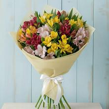 Букет цветов из:  Альстромерии в Поселок кирпичного завода