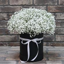 Цветочная композиция из Гипсофила в шляпной коробке в Поселок кирпичного завода