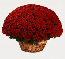 Премиум букет из: Розы в Поселок кирпичного завода