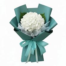 Букет цветов из:  Гортензия в Поселок кирпичного завода